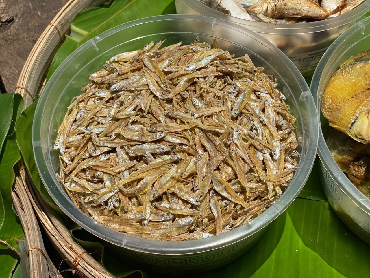 কাচকি শুটকি - Image 2